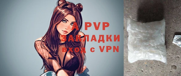 прущие крисы Белокуриха
