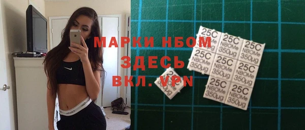 шишки Белоозёрский