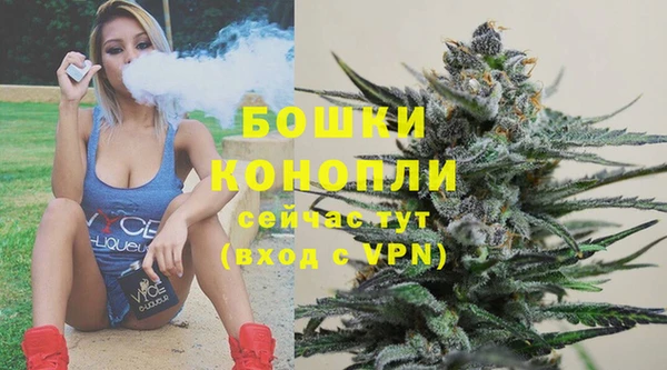 прущие крисы Белокуриха