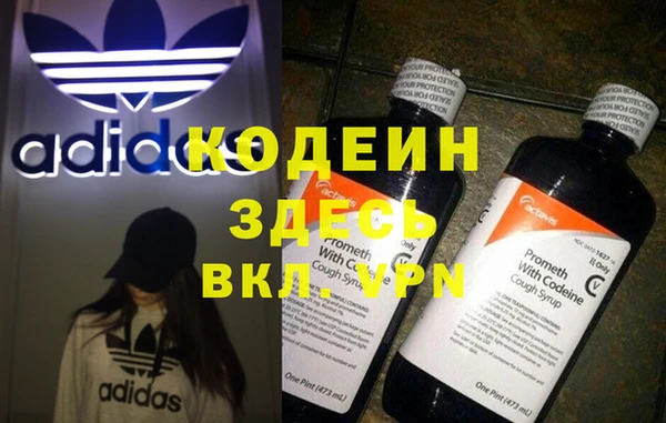 шишки Белоозёрский
