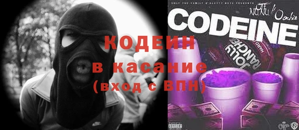 шишки Белоозёрский