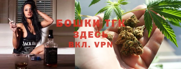 прущие крисы Белокуриха