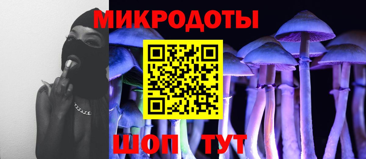 Галлюциногенные грибы GOLDEN TEACHER  Вход с VPN  Псилоцибиновые грибы MAGIC MUSHROOMS  Вязники 