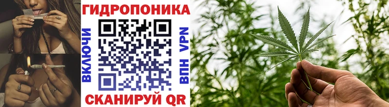 где купить   Вязники  МАРИХУАНА SATIVA & INDICA 